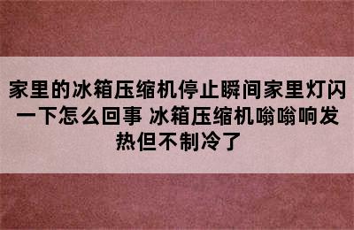 家里的冰箱压缩机停止瞬间家里灯闪一下怎么回事 冰箱压缩机嗡嗡响发热但不制冷了